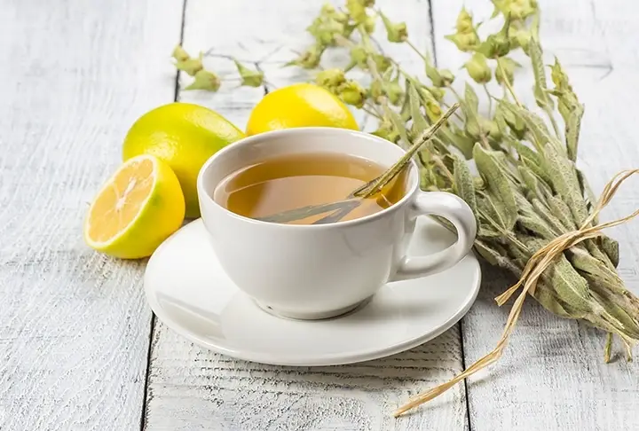 lipton tarifleri 8 954